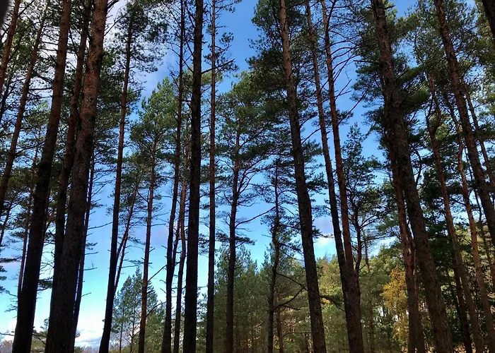 Ant Baltijos Juros Kranto Apartamentai * Palanga